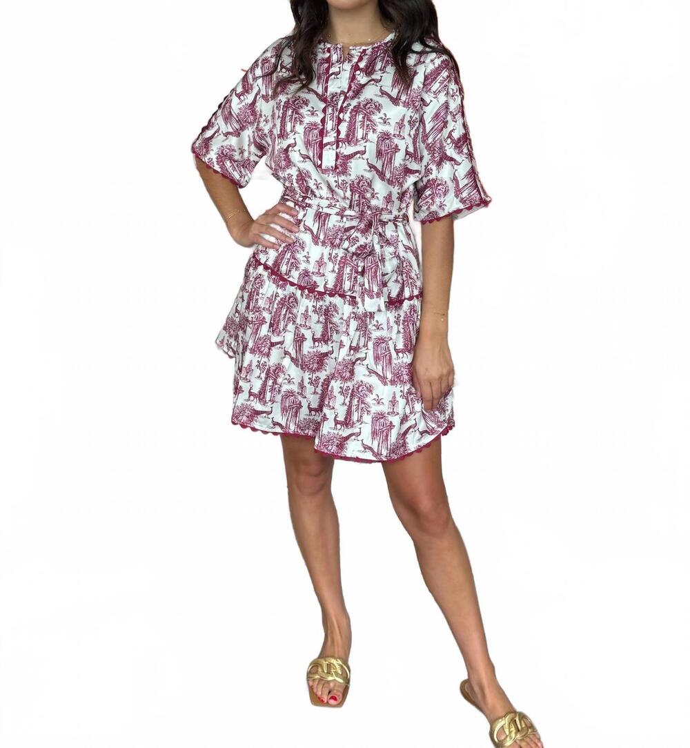 NEW JOY JOY ric rac trim dress in parisian garden print